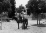 Can you identify this couple? Bluff Mid 1890's. Charles Goodman Photo